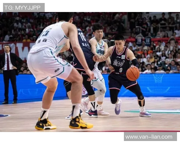 篮球团队协作实力排行榜揭晓各队表现与潜力分析